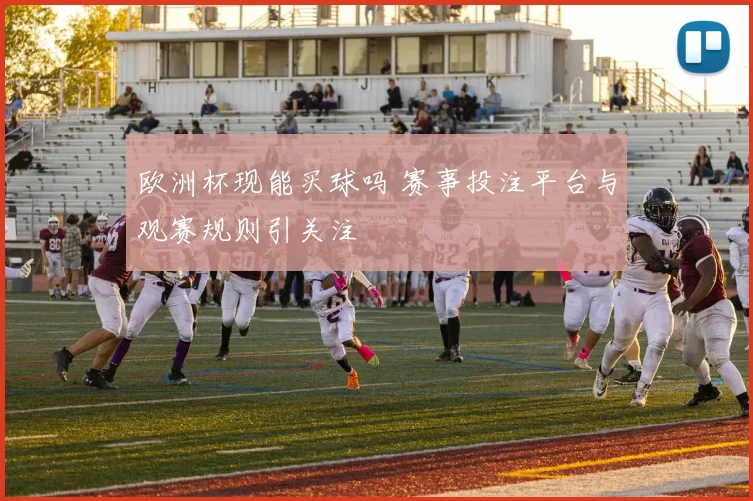 欧洲杯现能买球吗 赛事投注平台与观赛规则引关注