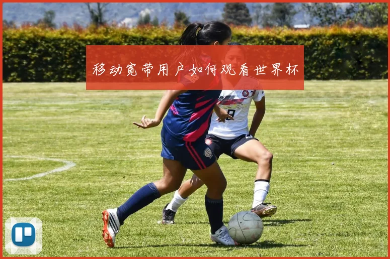 移动宽带用户如何观看世界杯