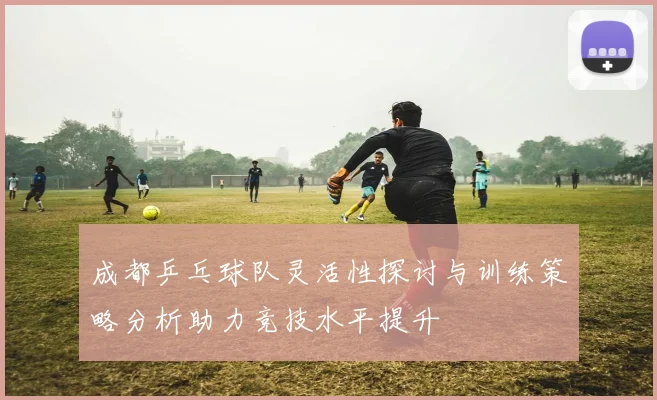 成都乒乓球队灵活性探讨与训练策略分析助力竞技水平提升