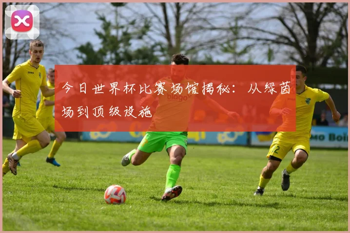 今日世界杯比赛场馆揭秘：从绿茵场到顶级设施