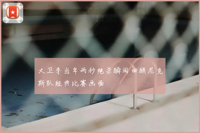大卫李当年两秒绝杀瞬间回顾尼克斯队经典比赛画面