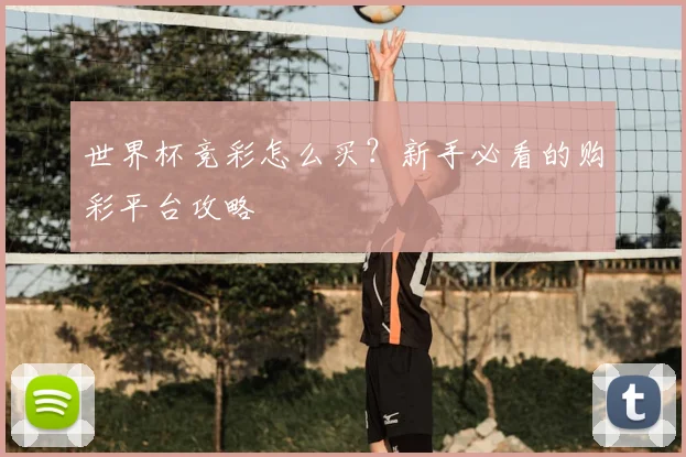 世界杯竞彩怎么买？新手必看的购彩平台攻略