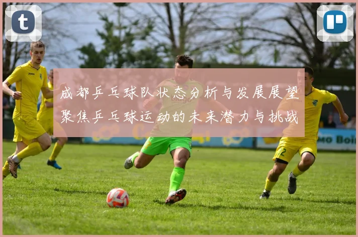 成都乒乓球队状态分析与发展展望聚焦乒乓球运动的未来潜力与挑战