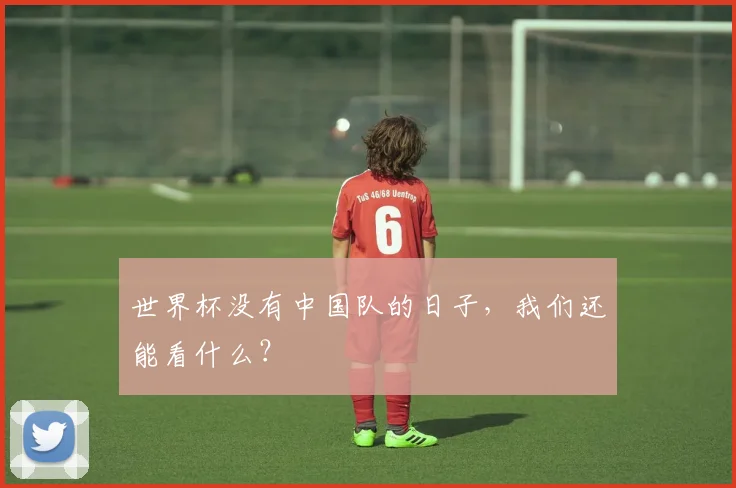 世界杯没有中国队的日子，我们还能看什么？