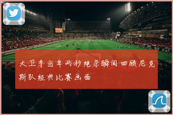 大卫李当年两秒绝杀瞬间回顾尼克斯队经典比赛画面