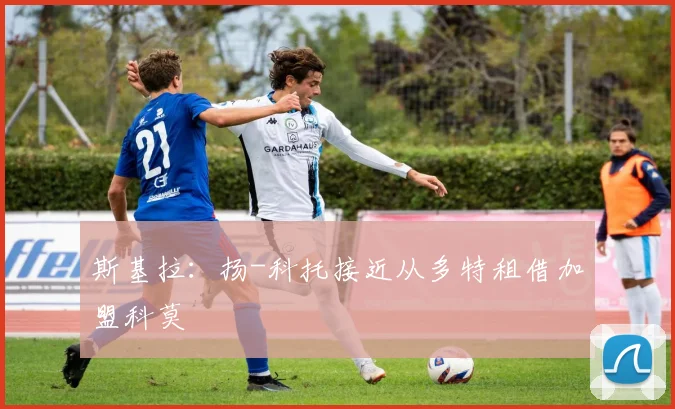 斯基拉：扬-科托接近从多特租借加盟科莫