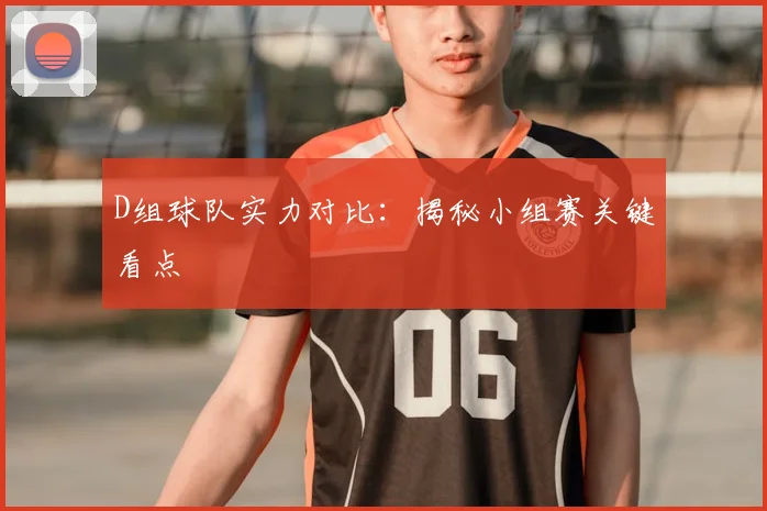 D组球队实力对比：揭秘小组赛关键看点