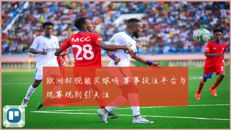欧洲杯现能买球吗 赛事投注平台与观赛规则引关注