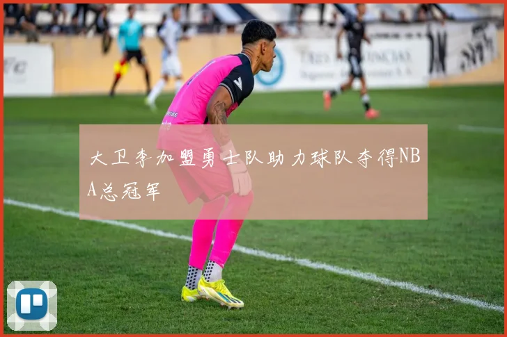 大卫李加盟勇士队助力球队夺得NBA总冠军