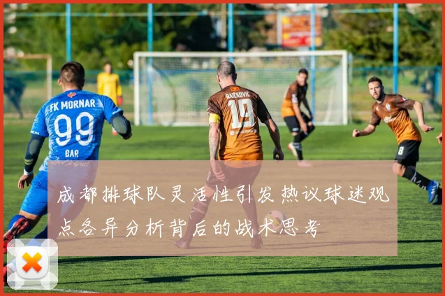 成都排球队灵活性引发热议球迷观点各异分析背后的战术思考